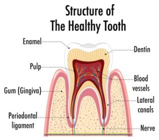 https://allstarsdental.com/wp-content/uploads/2025/02/Periodontal-Care-3-320x282.jpg