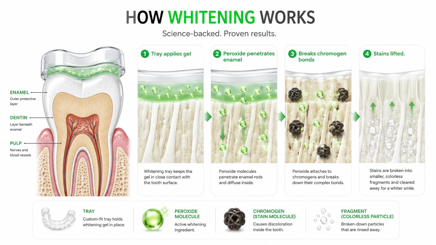 A detailed infographic showing the biological process of how teeth whitening trays remove stains from enamel.