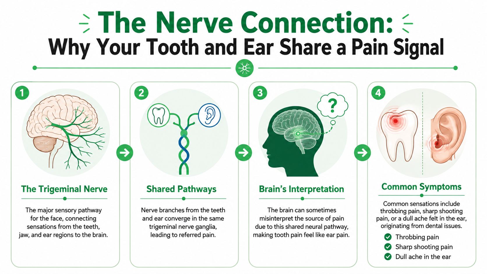 A diagram explaining how dental issues cause referred ear pain via the shared trigeminal nerve pathway.